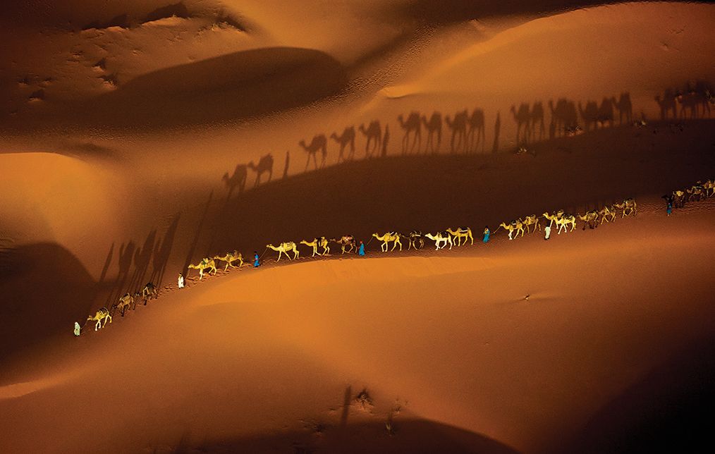 Earth Is My Witness: The Photography of Art Wolfe