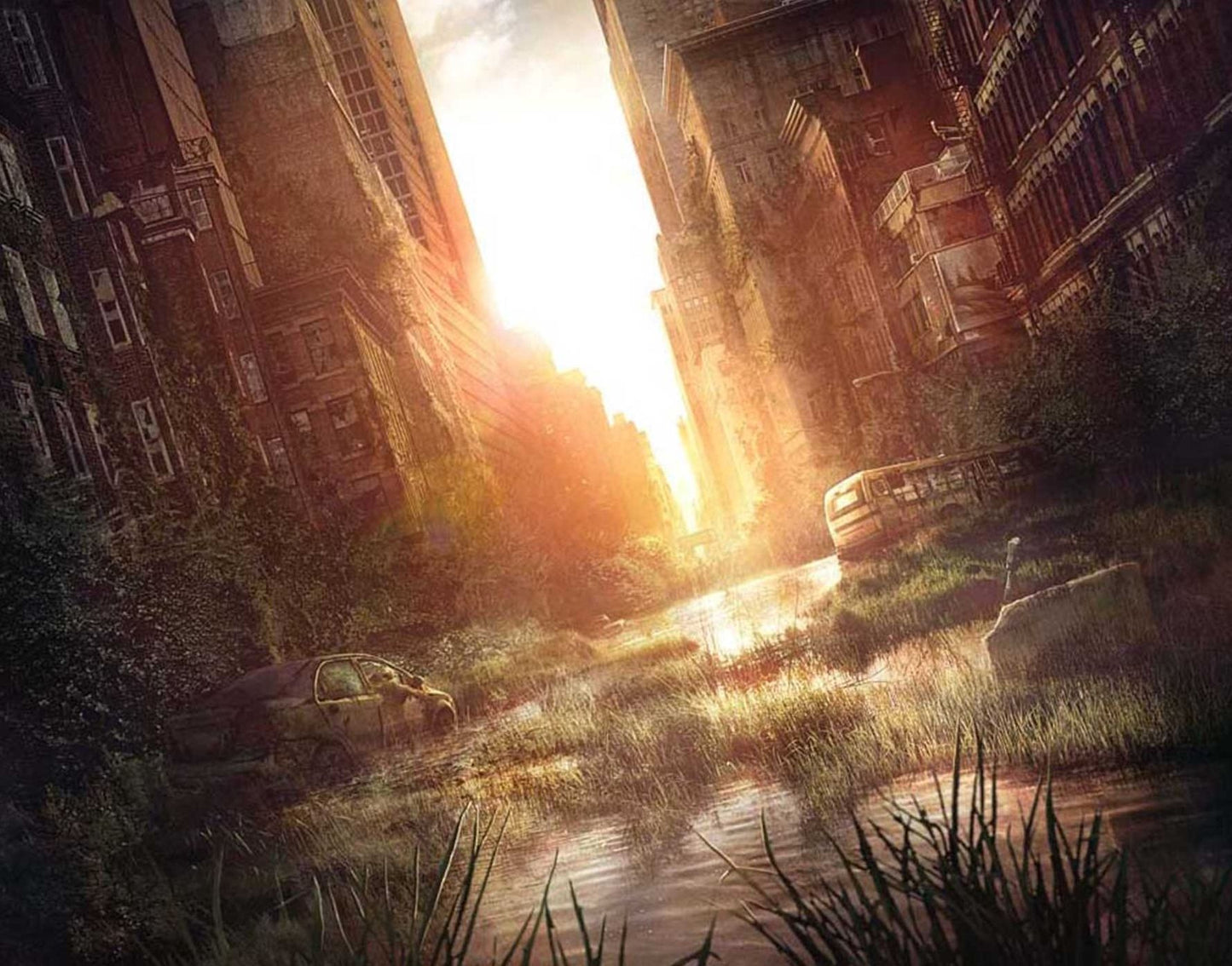 The Last of Us Hardcover Ruled Journal