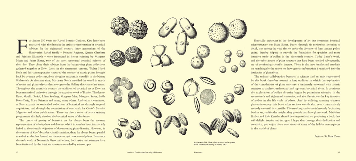 Pollen: The Hidden Sexuality of Flowers