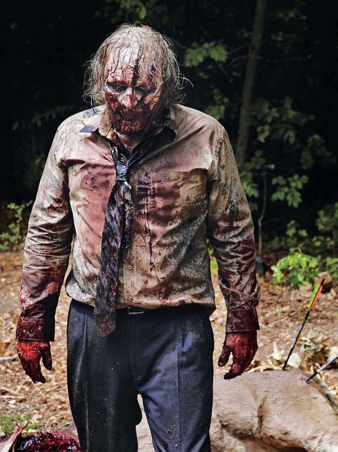 The Walking Dead : The Poster Collection: 40 Removable Posters
