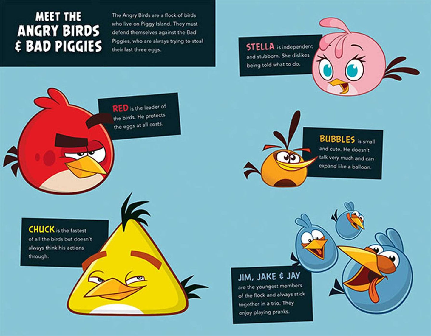 Angry Birds Hardcover Ruled Journal