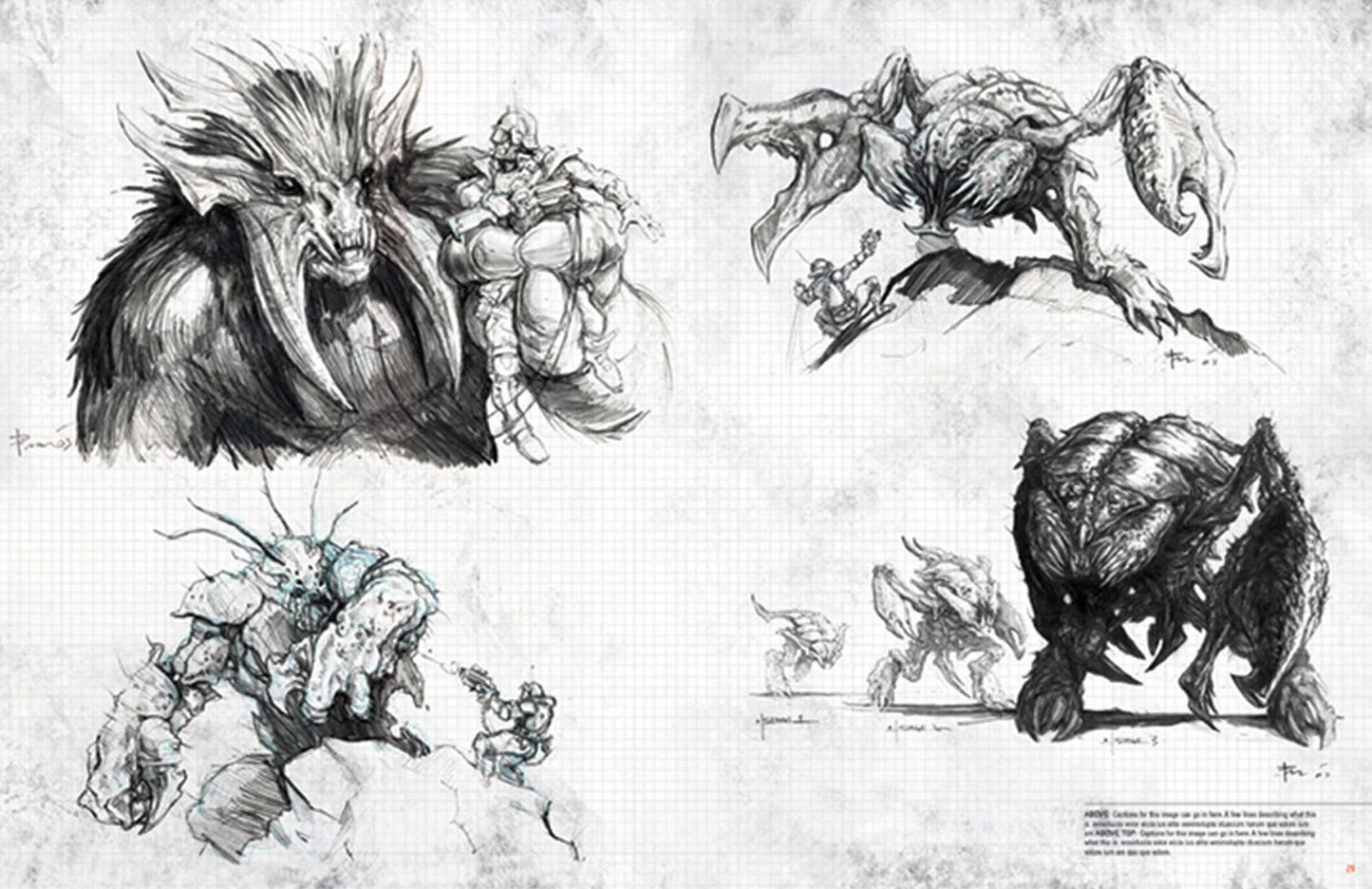 The Art of Evolve