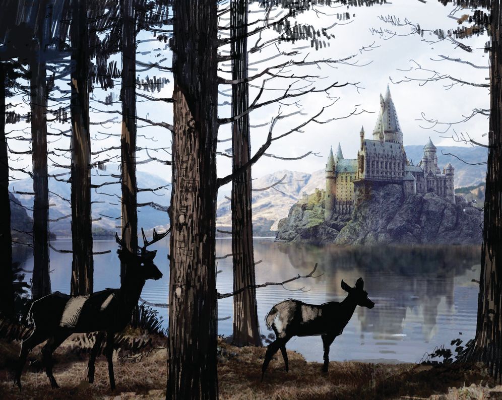 Harry Potter Hogwarts Bound Ruled Journal 5.5" x 8.5"
