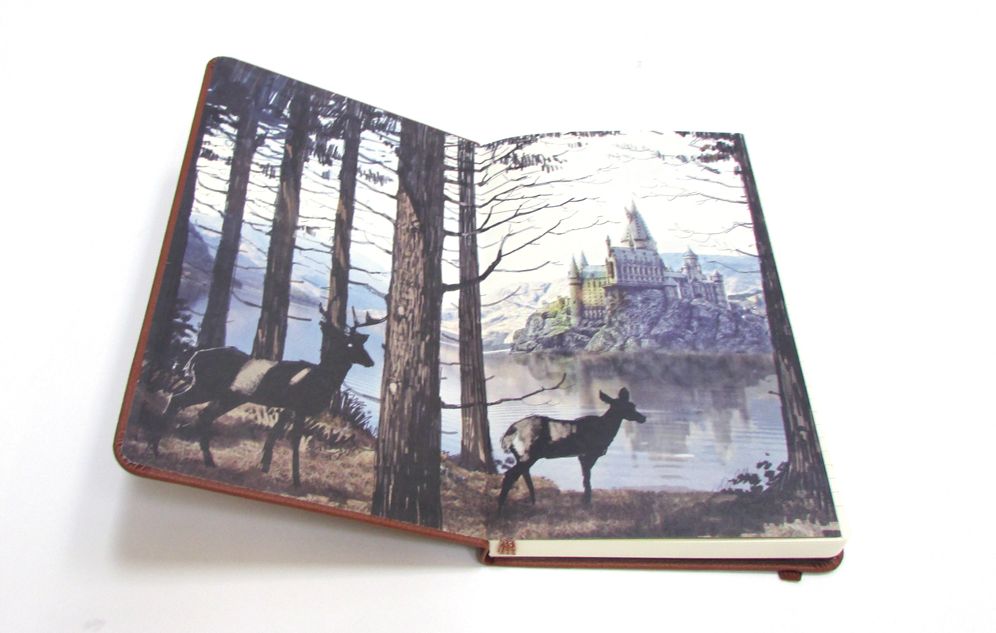 Harry Potter Hogwarts Bound Ruled Journal 5.5" x 8.5"