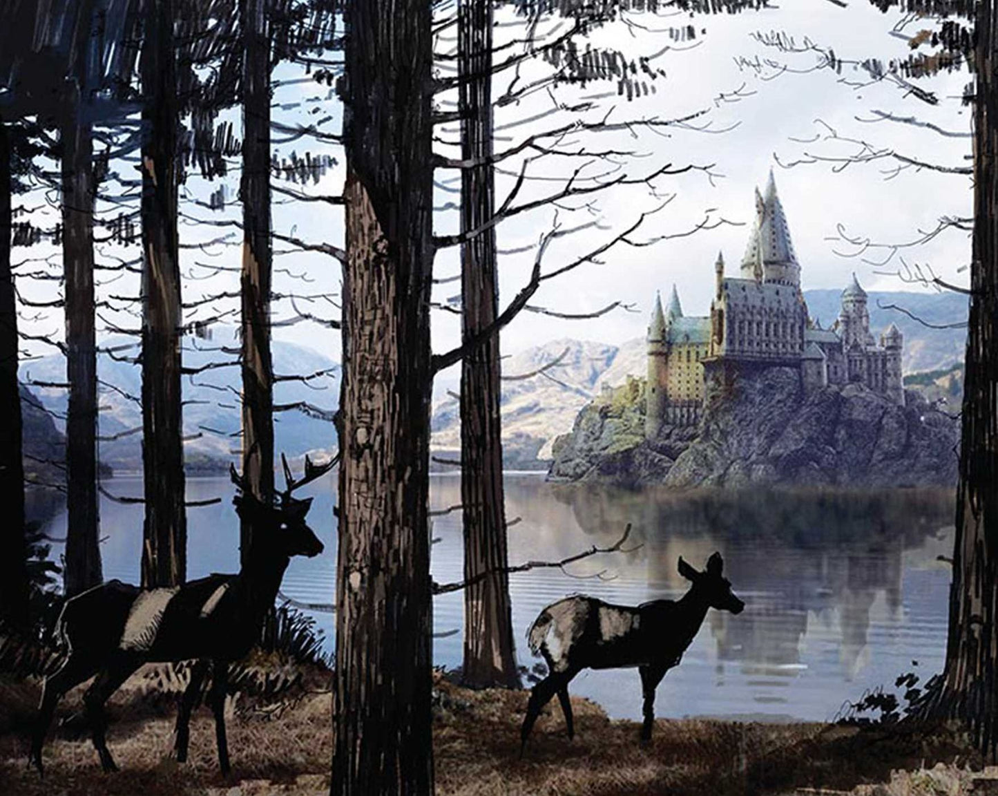 Harry Potter Hogwarts Bound Ruled Journal 5.5" x 8.5"