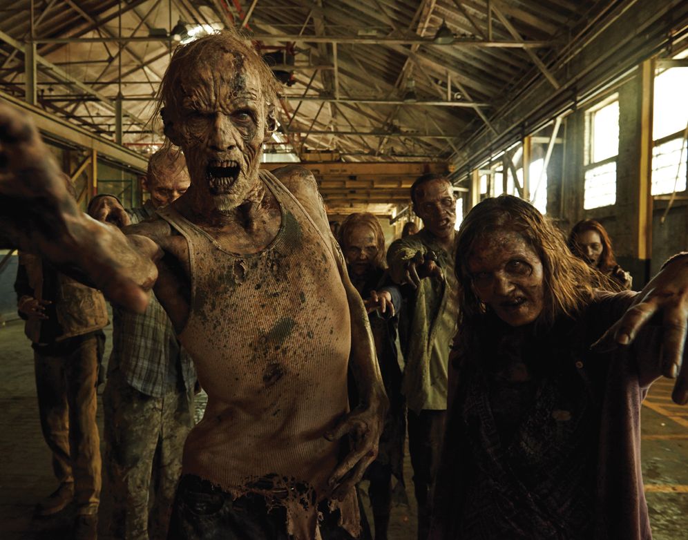 The Walking Dead Hardcover Ruled Journal - Walkers