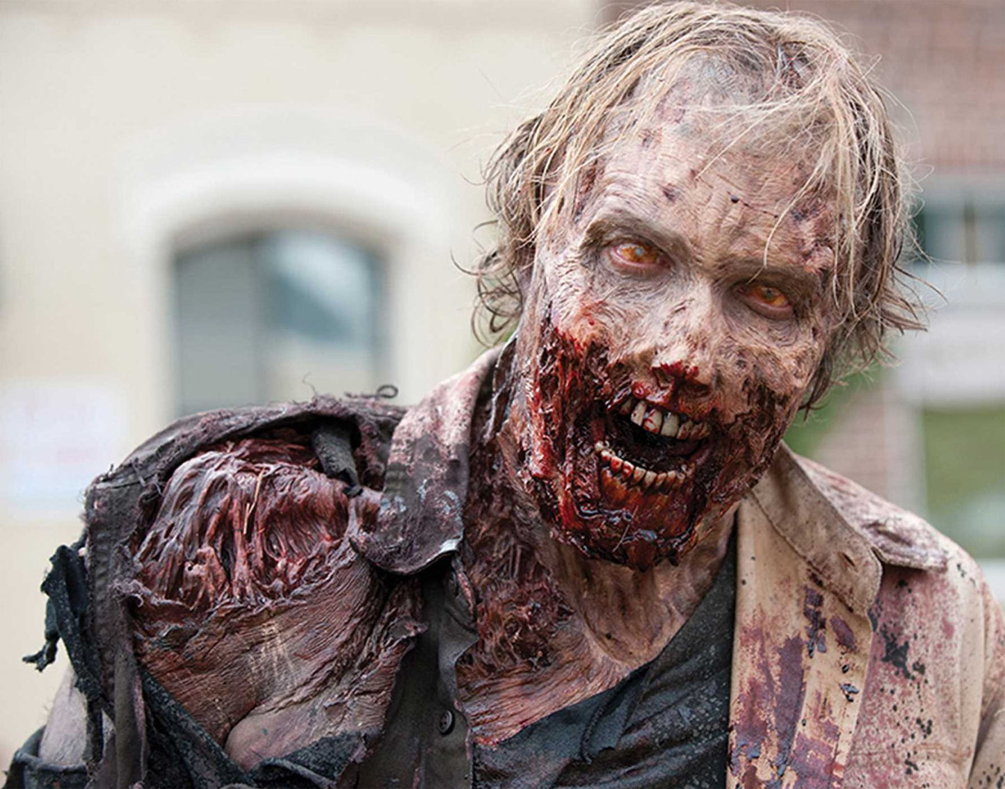 The Walking Dead Hardcover Ruled Journal - Walkers