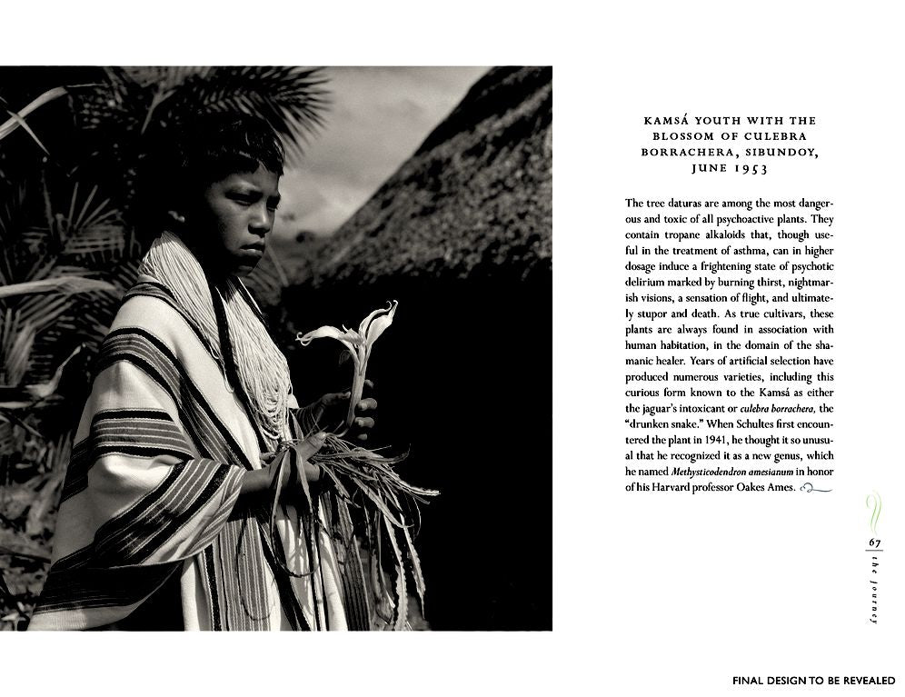 The Lost Amazon: The Pioneering Expeditions of Richard Evans Schultes