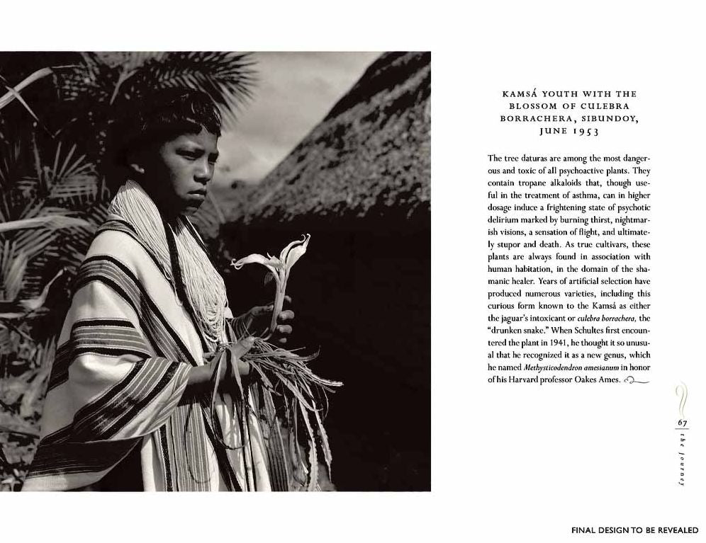 The Lost Amazon: The Pioneering Expeditions of Richard Evans Schultes