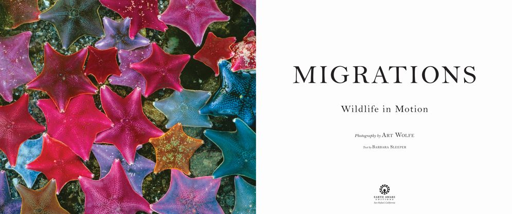 Migrations: Wildlife in Motion