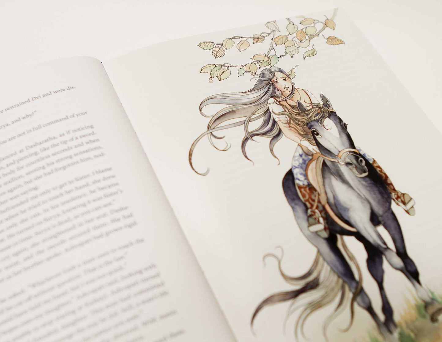 Shadows of the Sun Dynasty: An Illustrated Series Based on the Ramayana