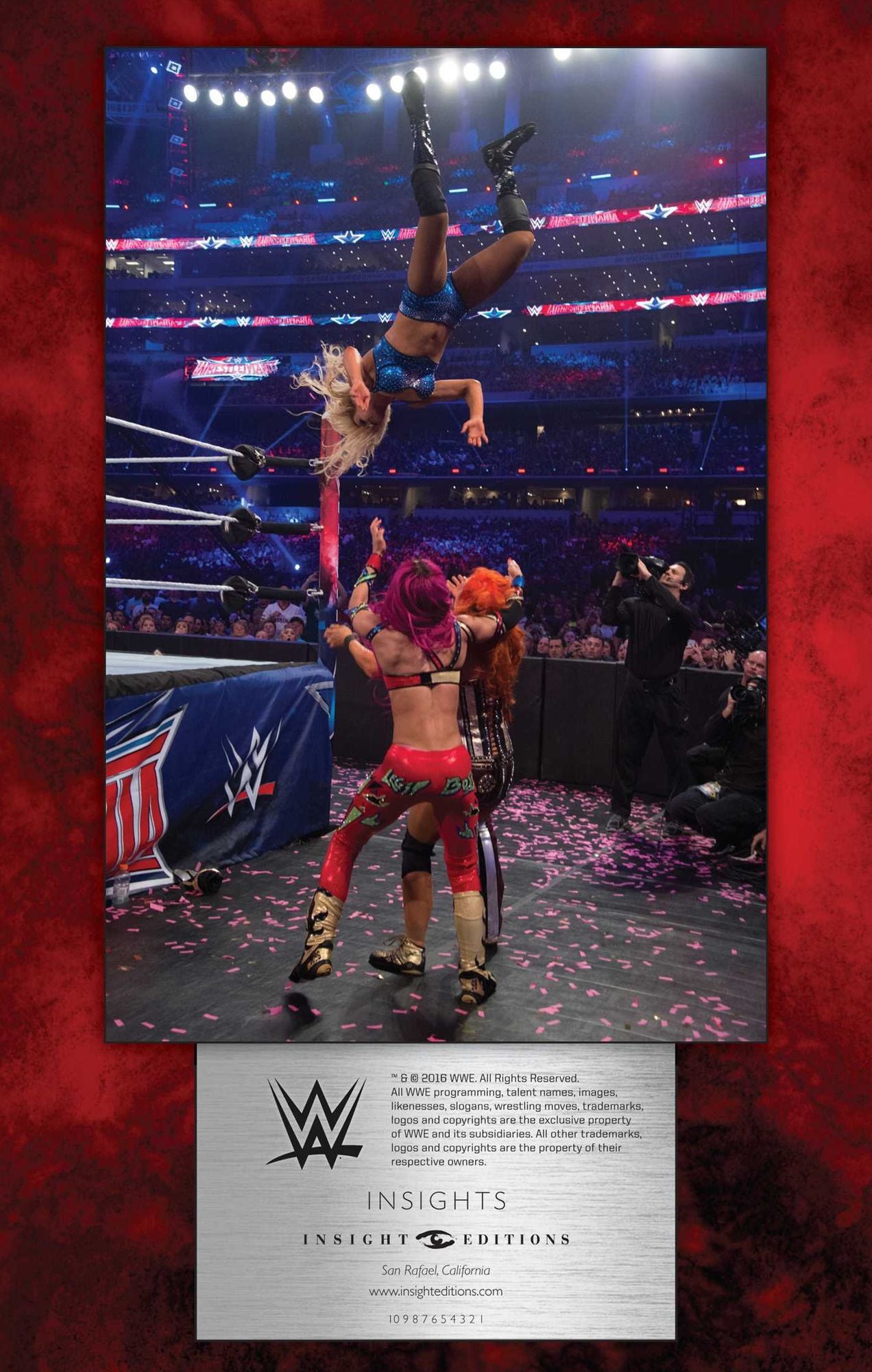 WWE Hardcover Ruled Journal