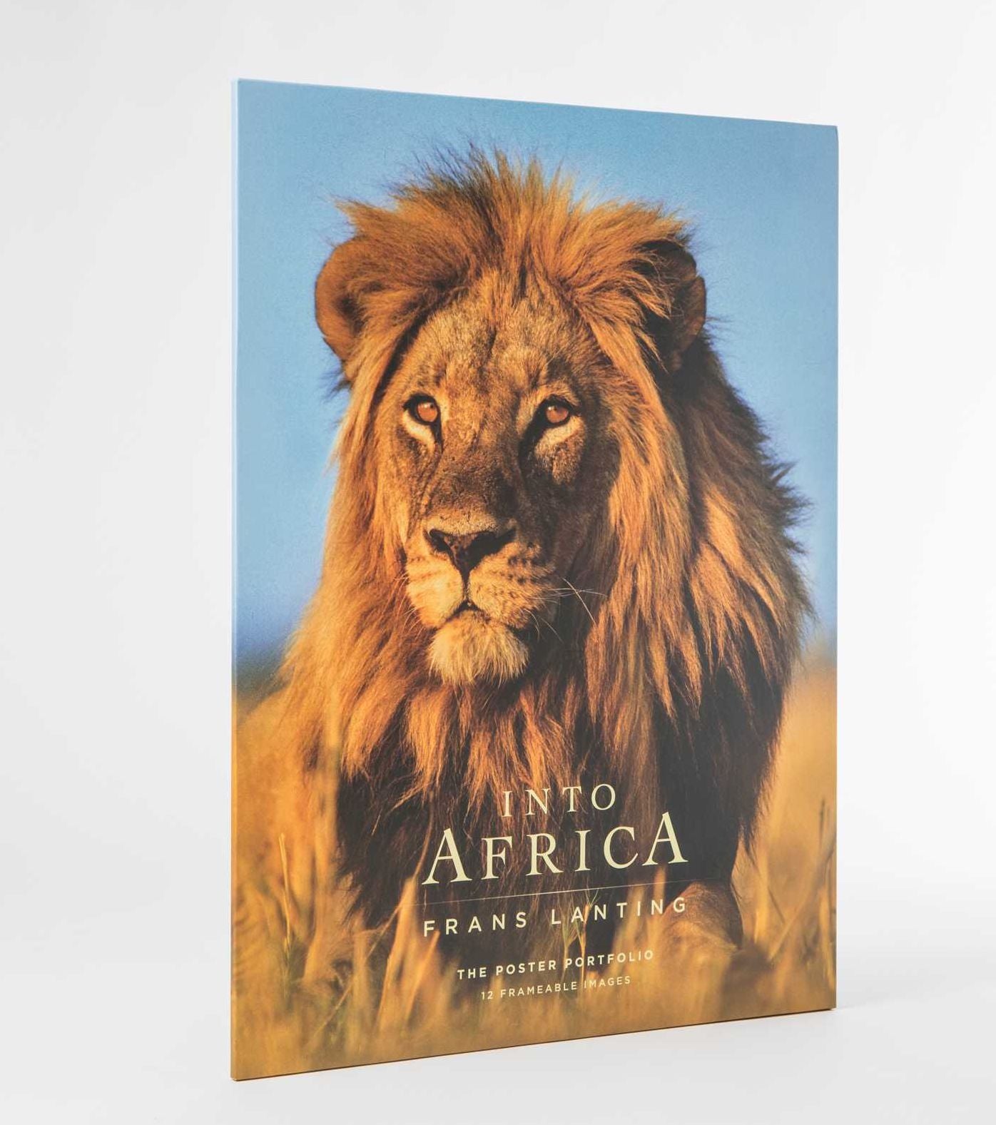 Into Africa: The Poster Portfolio: 12 Frameable Images