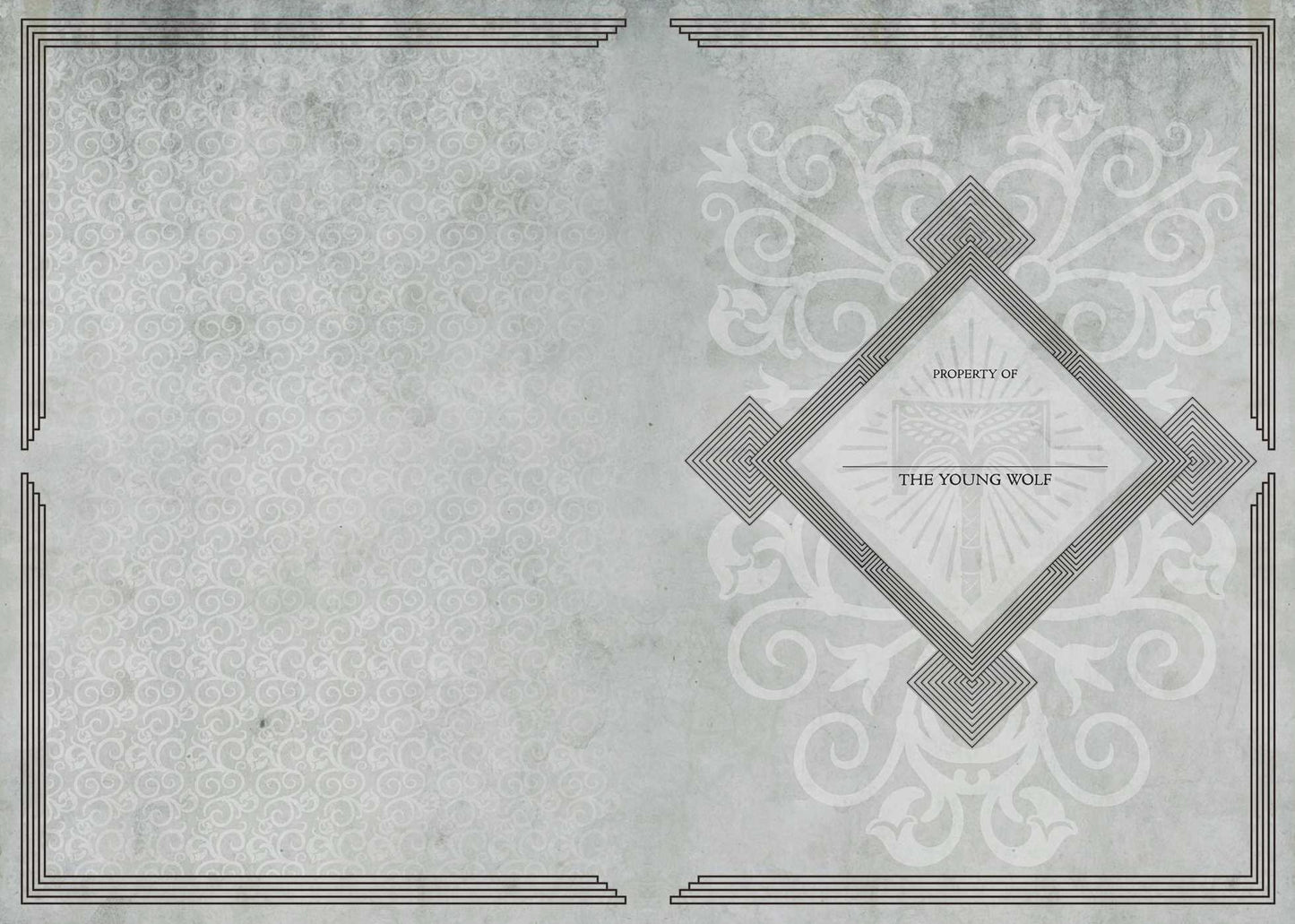 Destiny: Rise of Iron: Blank Hardcover Sketchbook