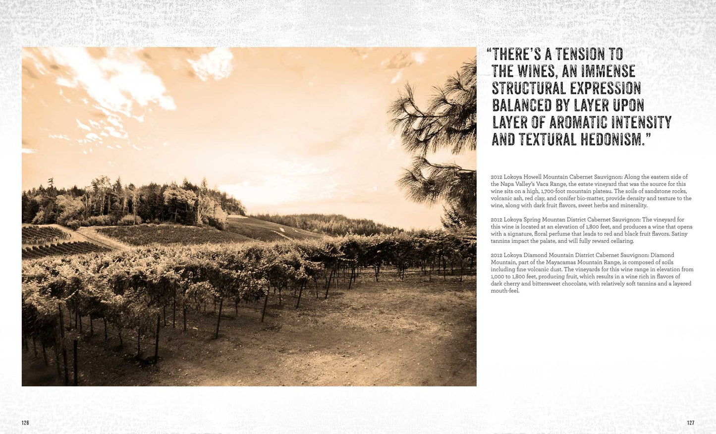 Napa Valley Cabernets: The Best of California's Wine Country