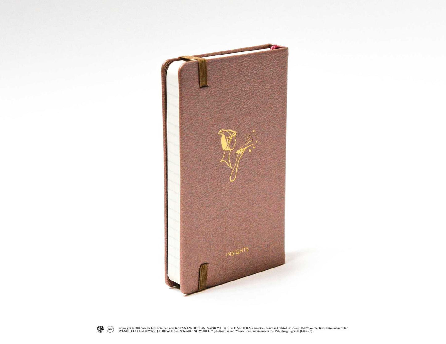 Fantastic Beasts and Where to Find Them: Obliviate Hardcover Ruled Notebook