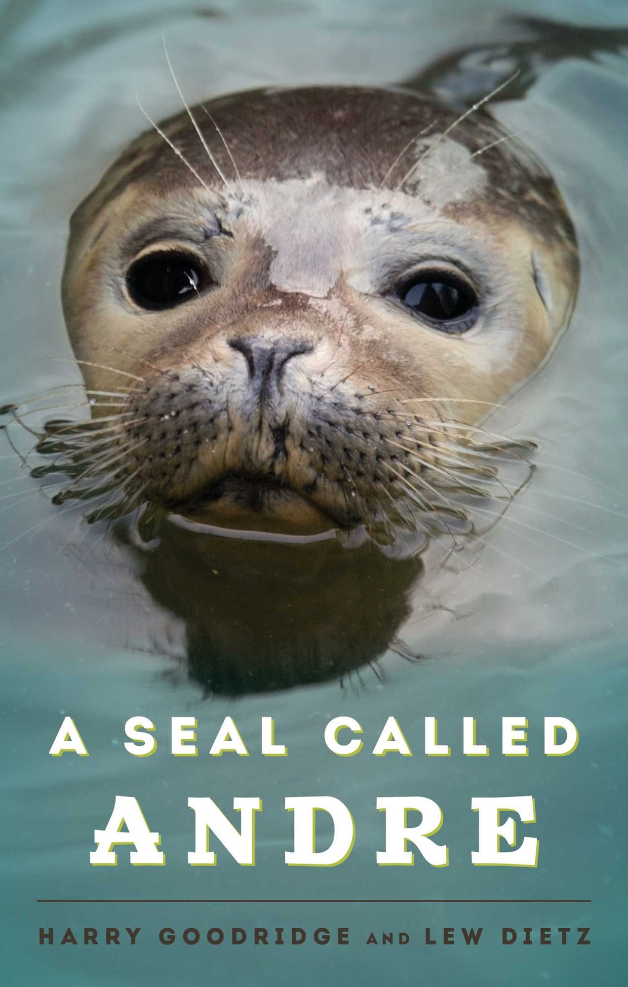 A Seal Called Andre
