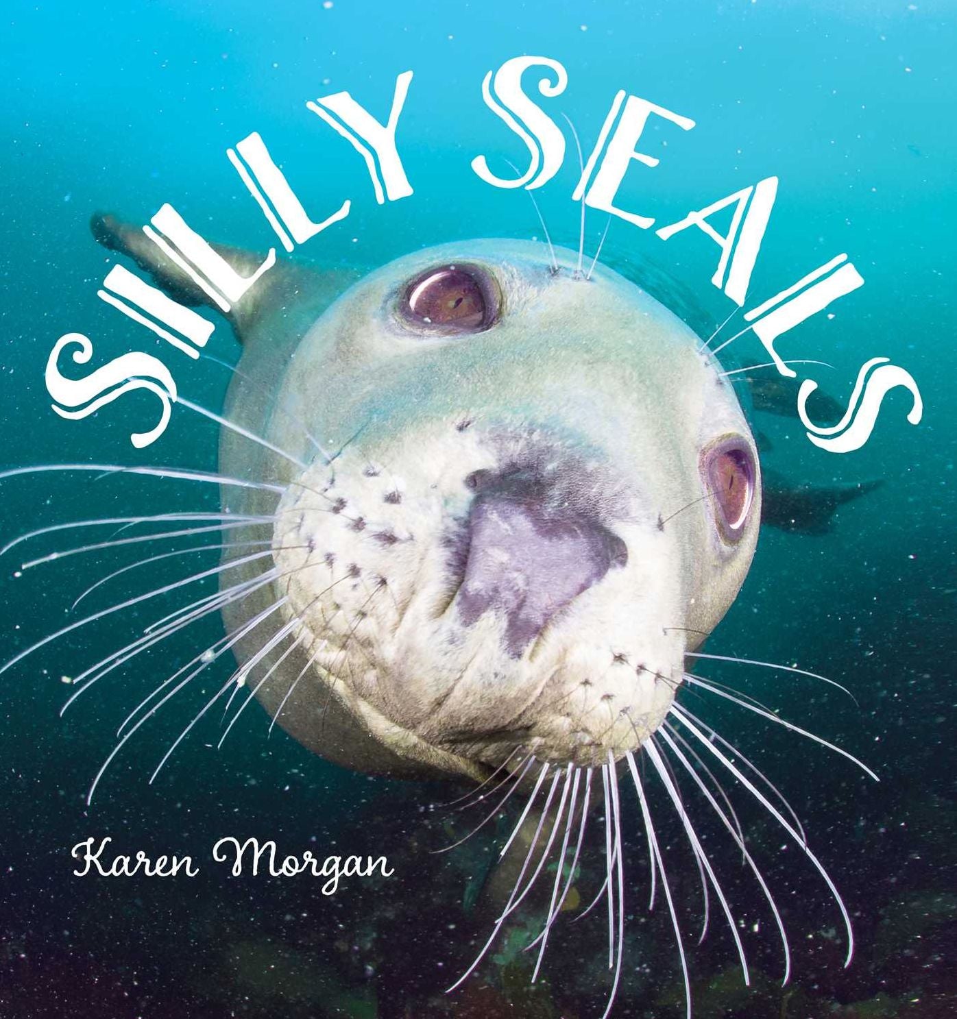 Silly Seals