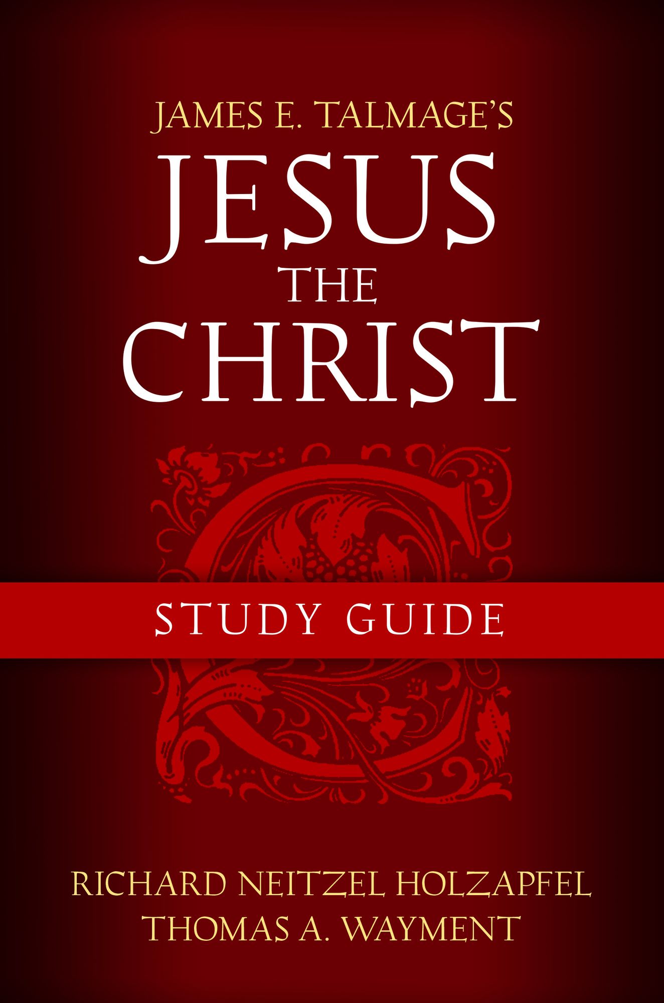 Jesus The Christ Study Guide