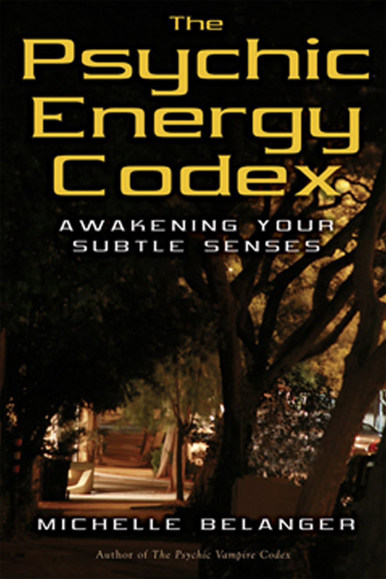 Psychic Energy Codex: A Manual for Developing Your Subtle Senses