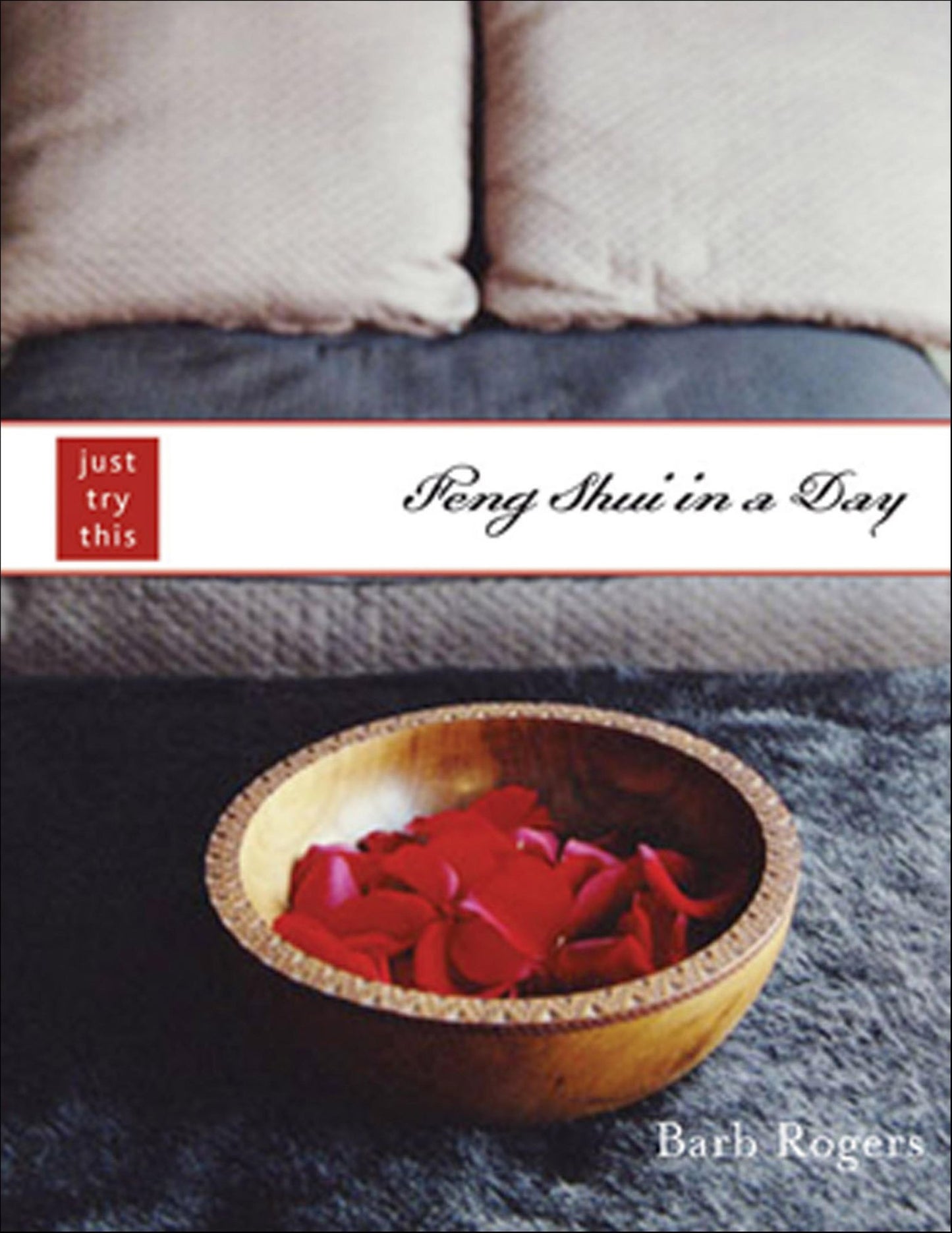 Feng Shui in a Day: Just Try This Series