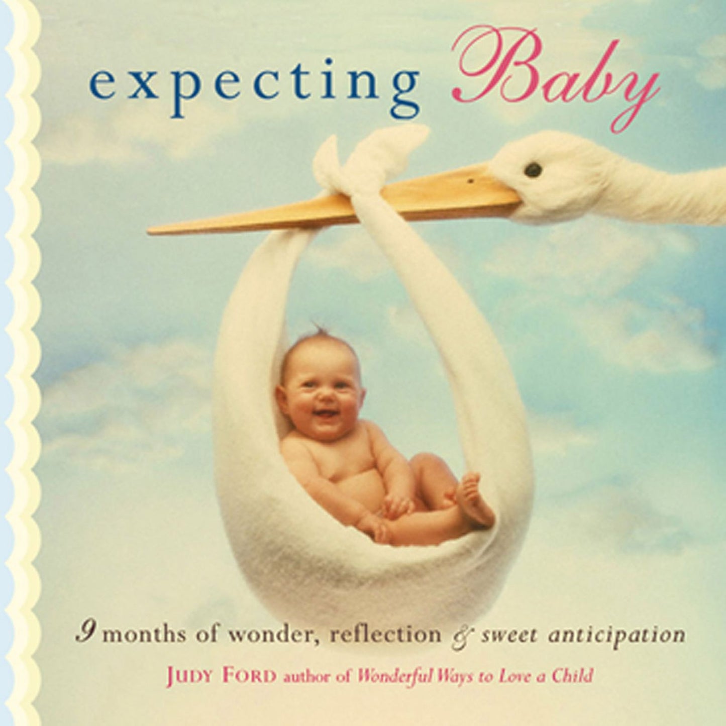 Expecting Baby: Nine Months of Wonder,Reflection and Sweet Anticipation
