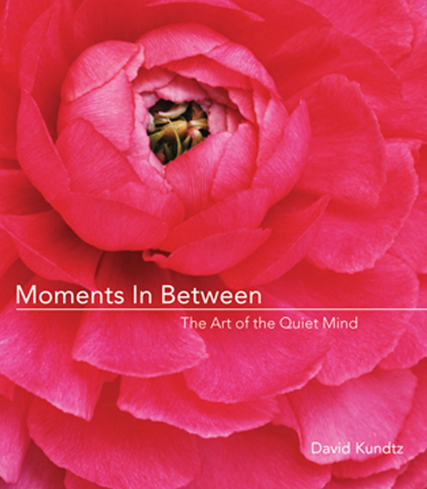 Moments in Between: The Art of the Quiet Mind