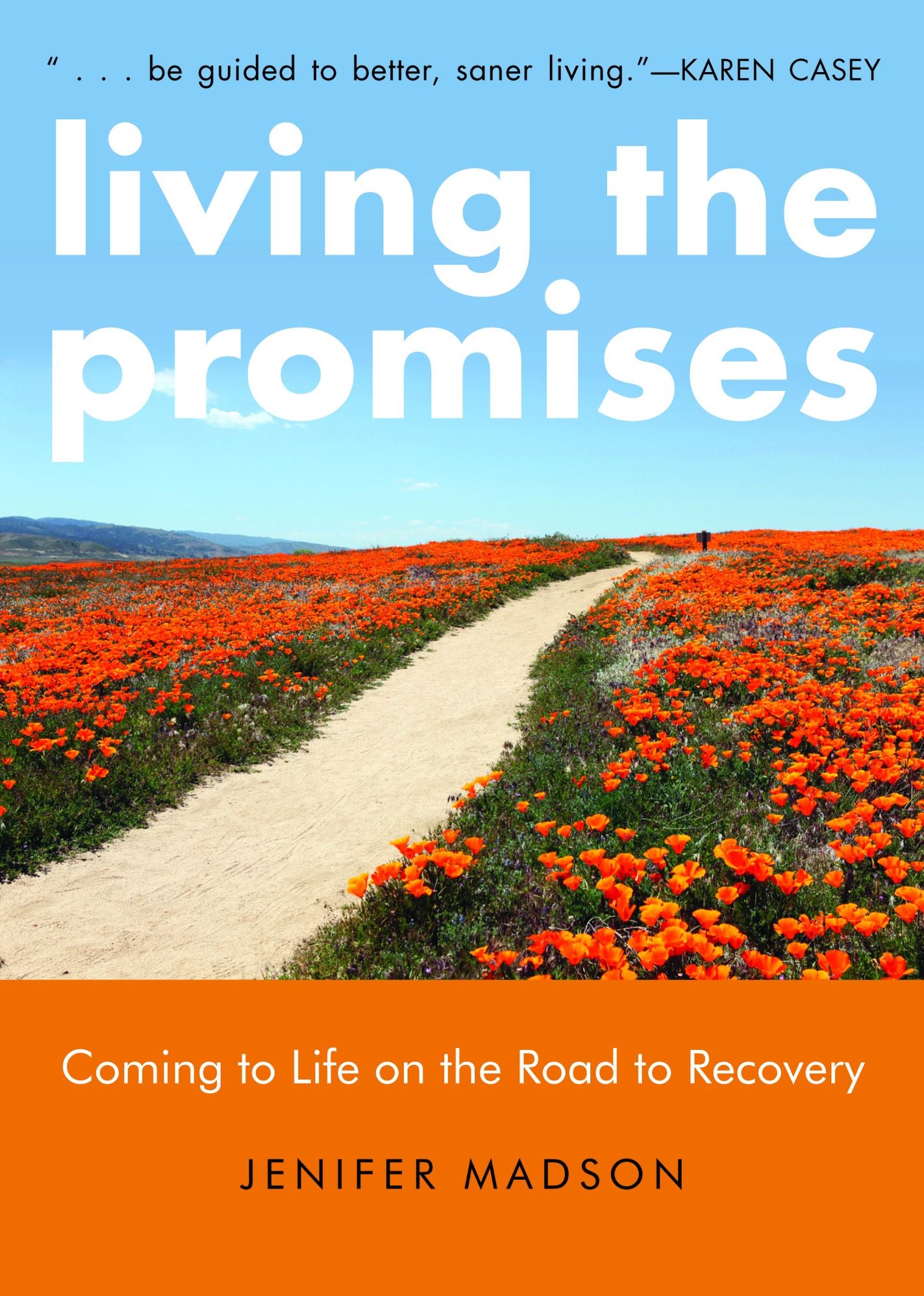 Living the Promises: Coming to Life on the Road to Recovery