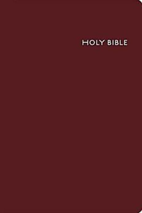 CEB Common English Bible Deluxe Gift and Award Imitation Leather Burgundy Red Letter