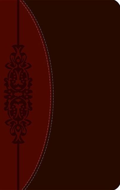 CEB Common English Wesley Study Bible DecoTone