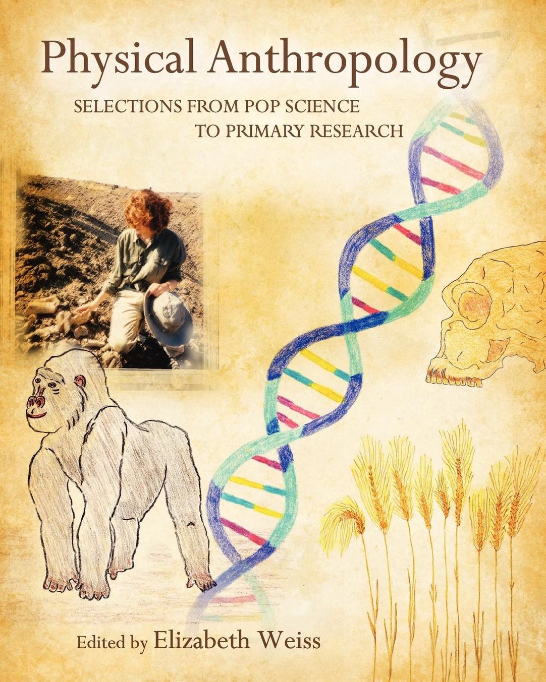 Physical Anthropology