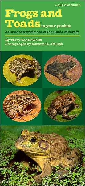 Frogs and Toads in Your Pocket: A Guide to Amphibians of the Upper Midwest