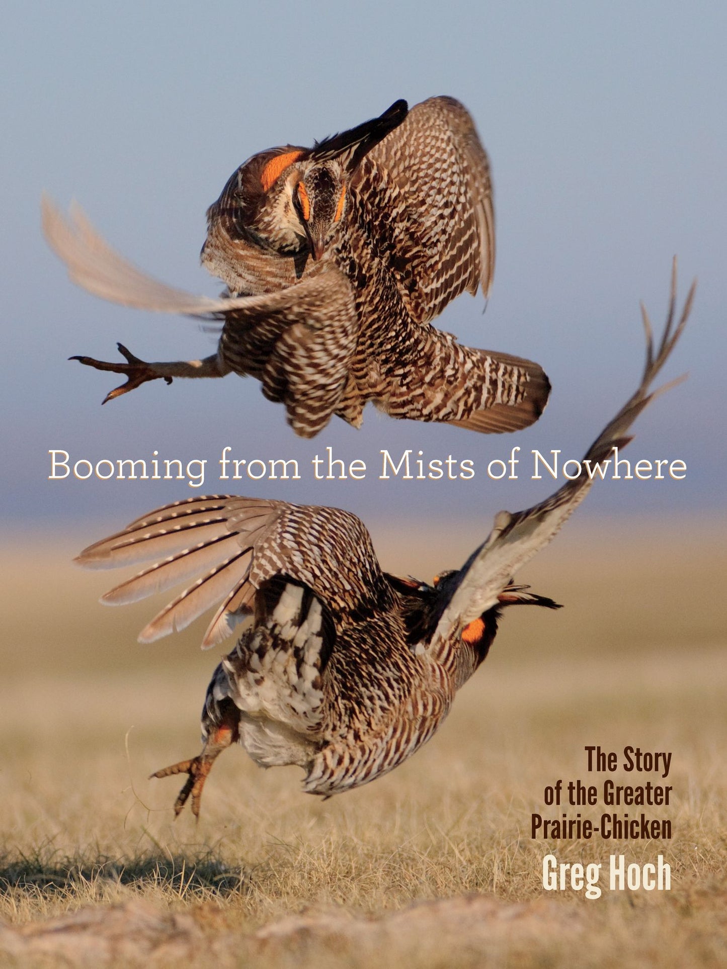 Booming from the Mists of Nowhere: The Story of the Greater Prairie-Chicken