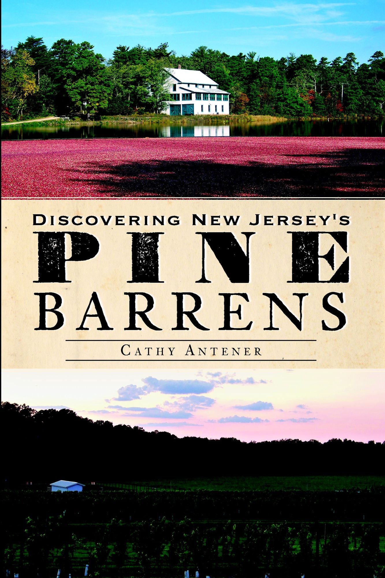 Discovering the New Jersey Pine Barrens