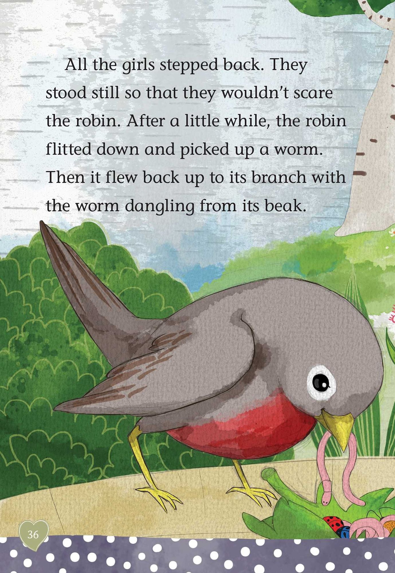 The Riddle of the Robin