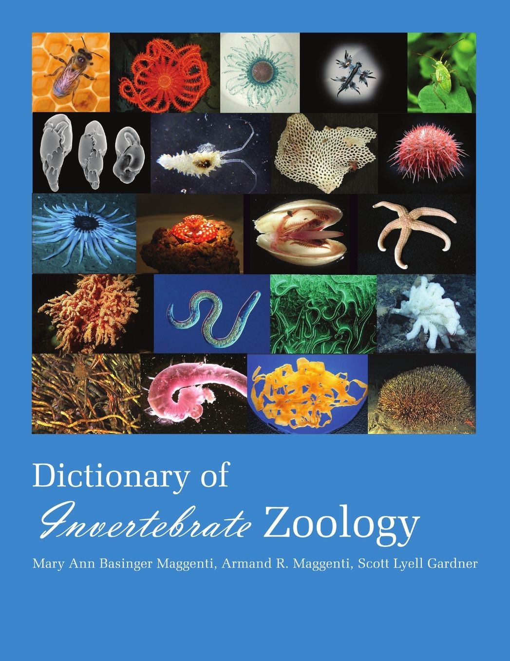 Dictionary of Invertebrate Zoology