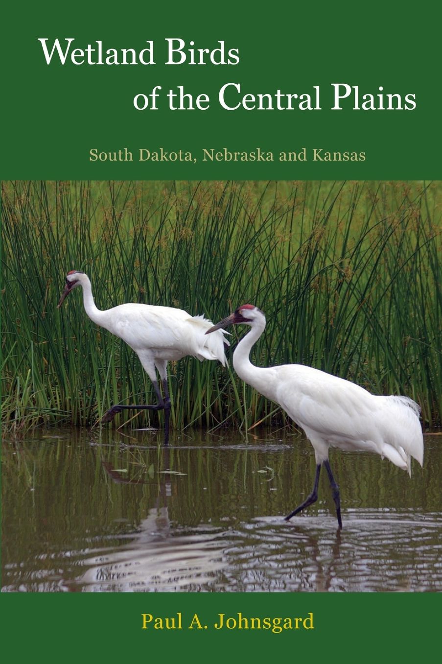 Wetland Birds of the Central Plains: South Dakota, Nebraska and Kansas