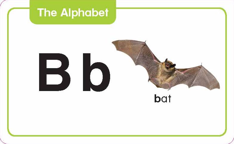 Flashcards: The Alphabet