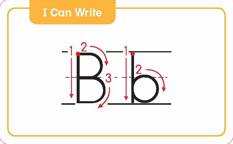 Flashcards: The Alphabet