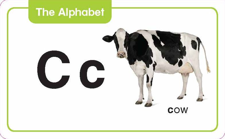 Flashcards: The Alphabet