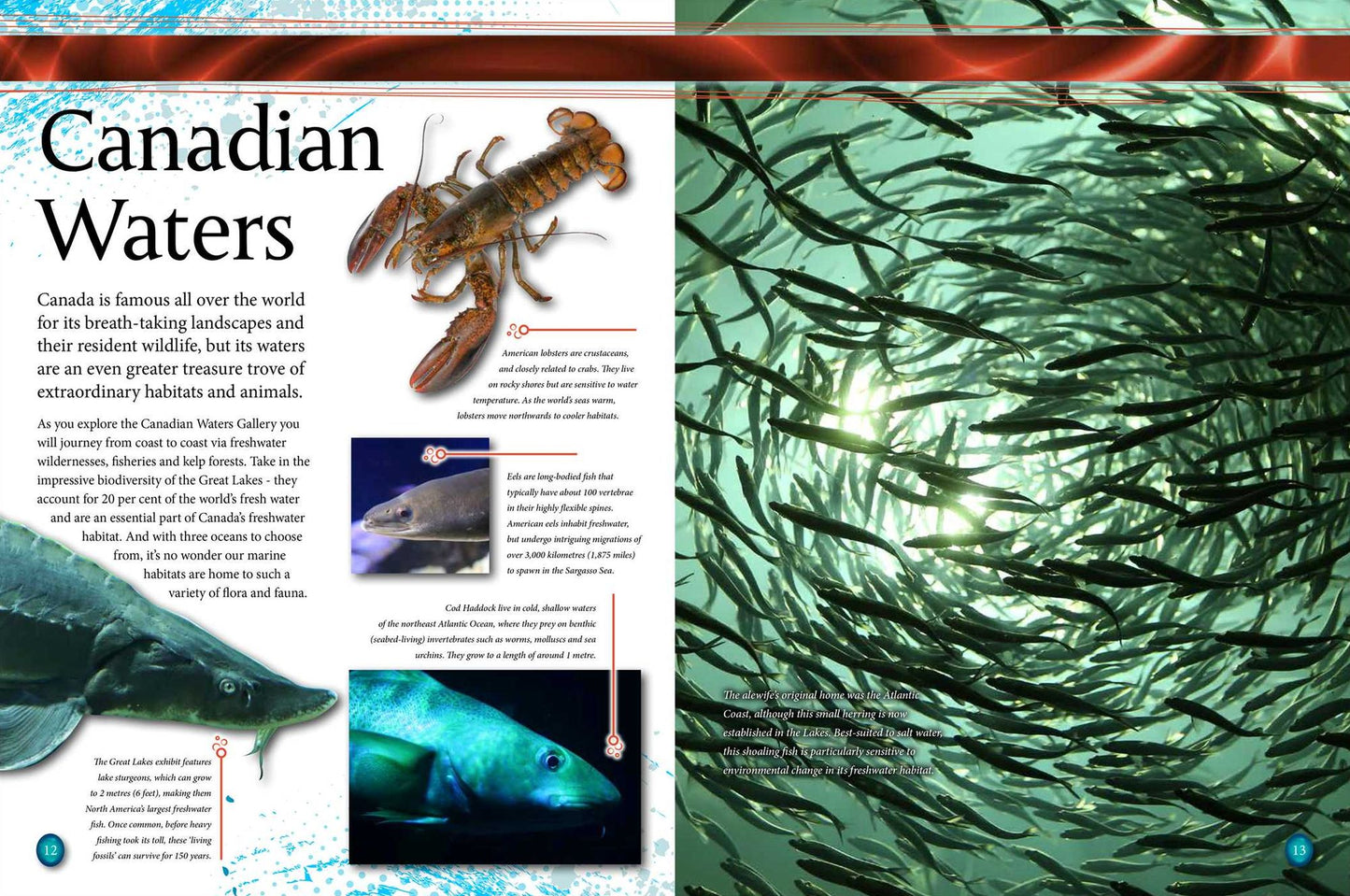 Ripley's Aquarium of Canada