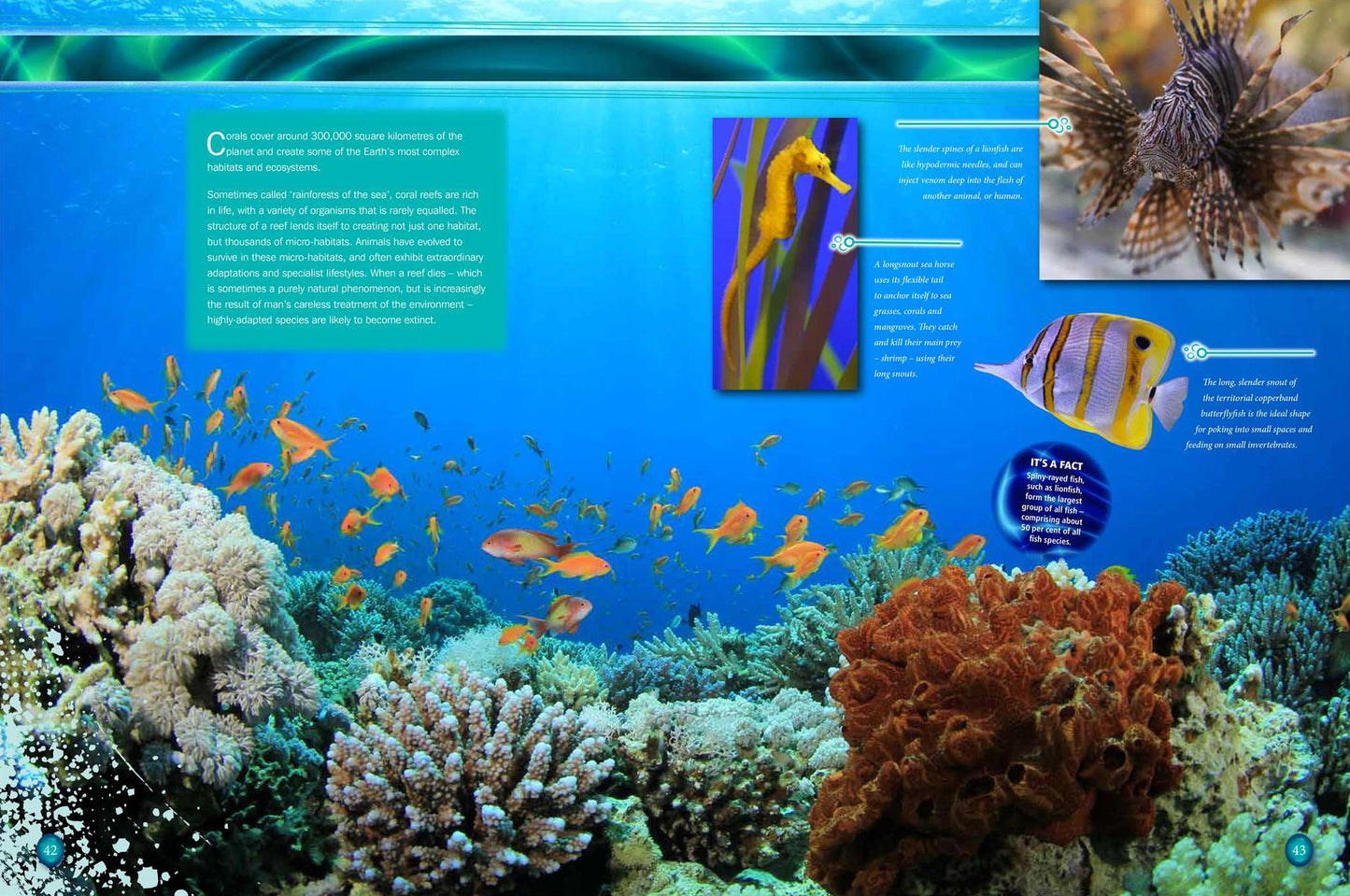 Ripley's Aquarium of Canada