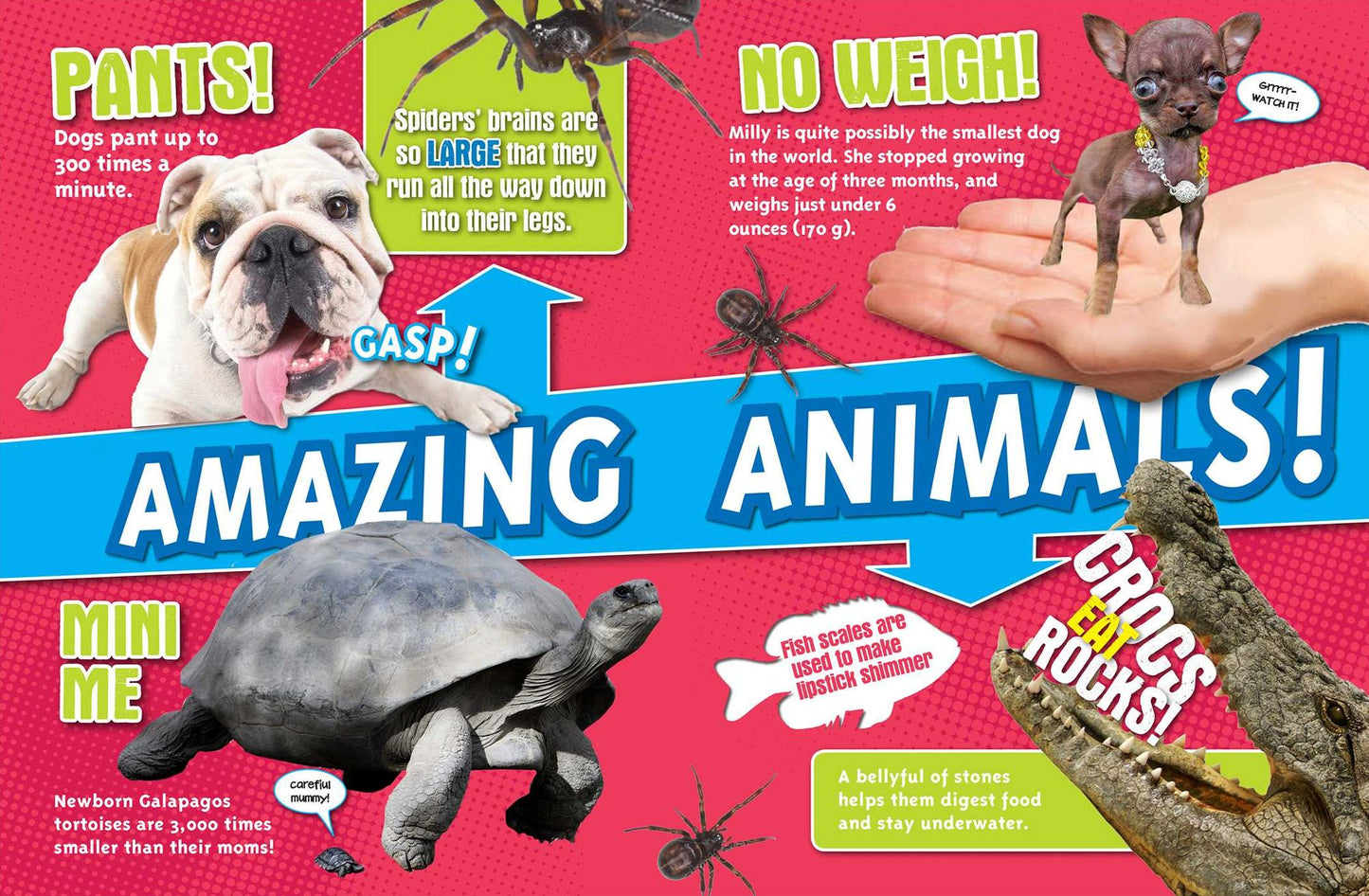 Ripley's Fun Facts & Silly Stories : The Big One!
