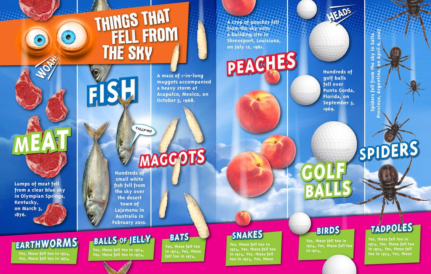 Ripley's Fun Facts & Silly Stories : The Big One!