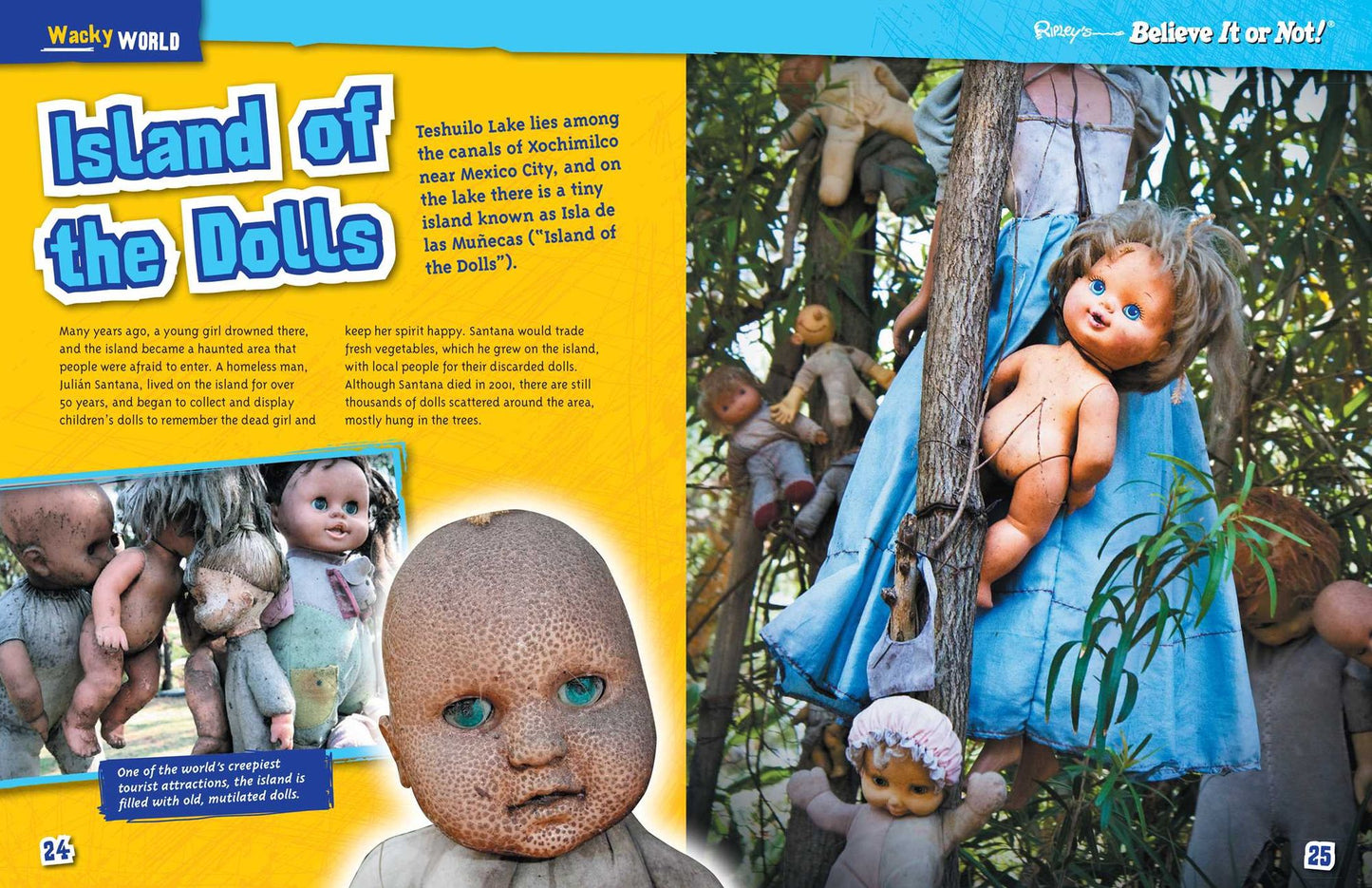 Ripley's Believe It Or Not: Impossibly Amazing