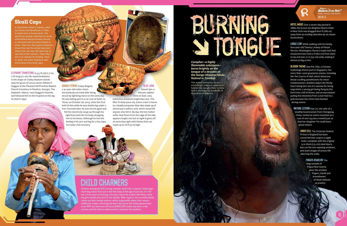 Ripley's Believe It Or Not! Eye-Popping Oddities