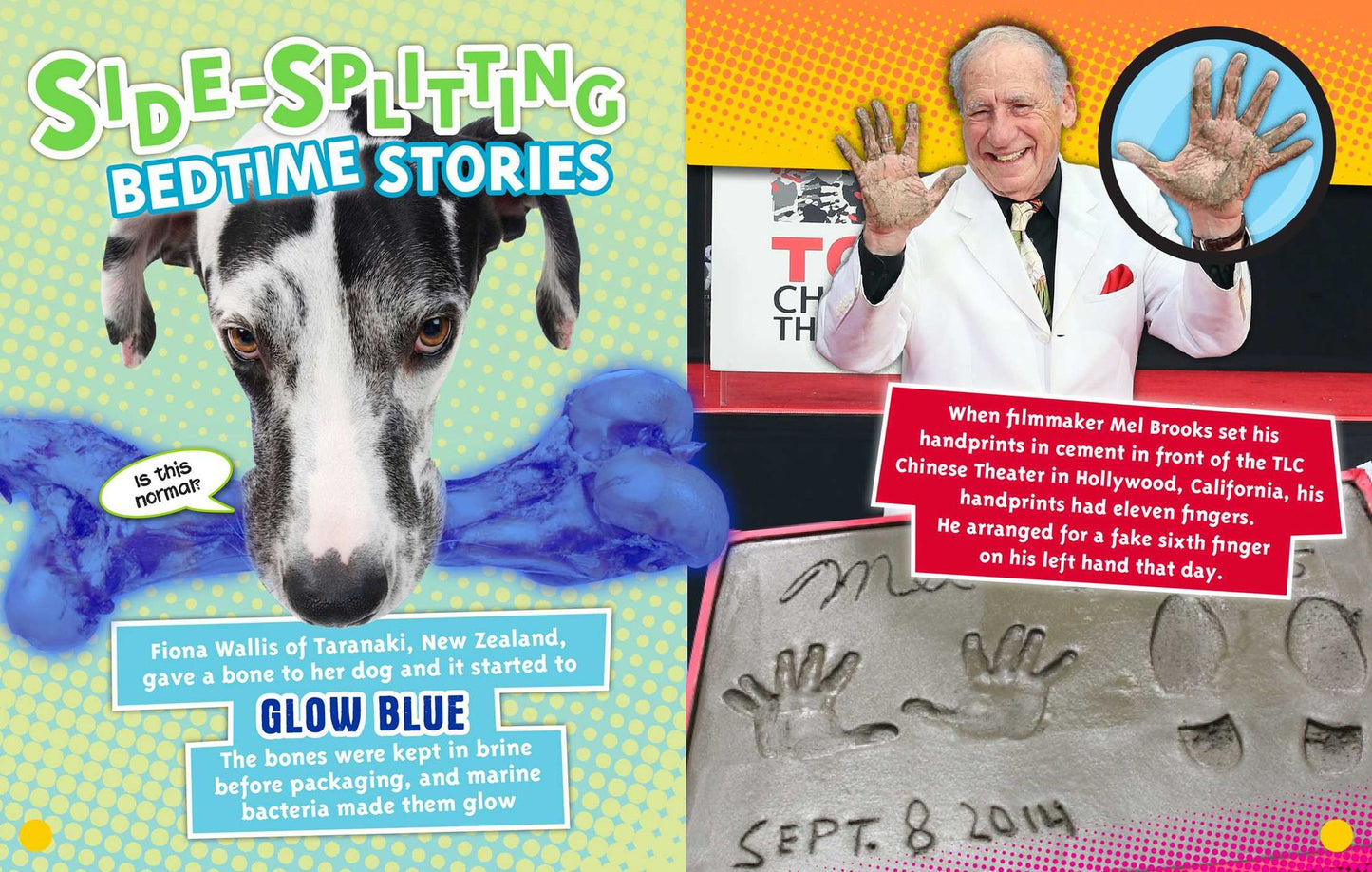 Ripley's Fun Facts & Silly Stories: ONE ZANY DAY!
