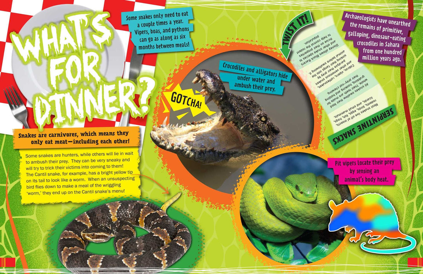 Ripley Twists: Snakes & Reptiles