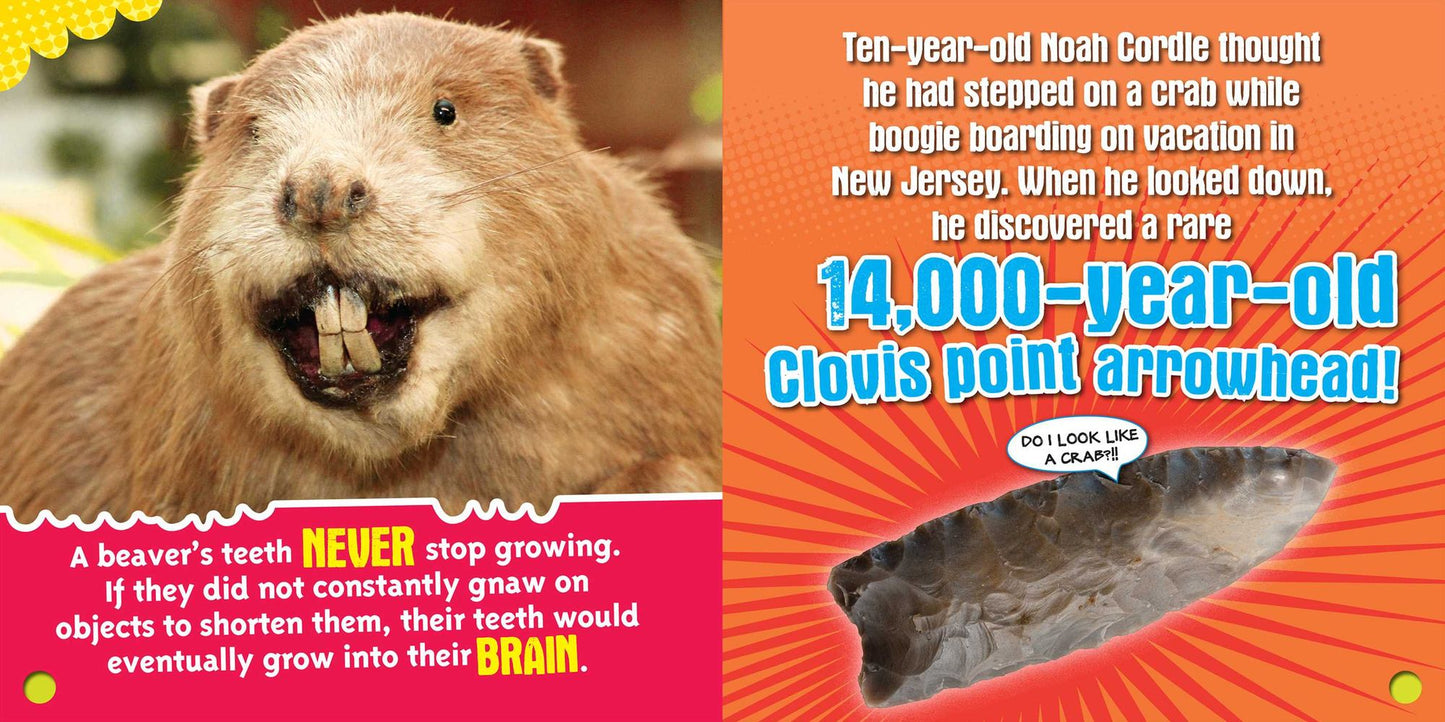 Ripley's Fun Facts & Silly Stories 4