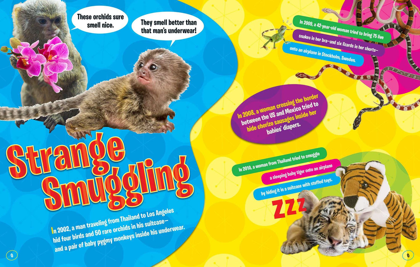Ripley's Fun Facts & Silly Stories: Odd Around the World